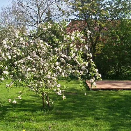 Appartement Denkmalgeschuetztes Ferienidyll Unter Reet Guderhandviertel