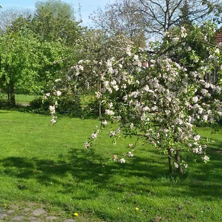 Denkmalgeschuetztes Ferienidyll Unter Reet Appartement *