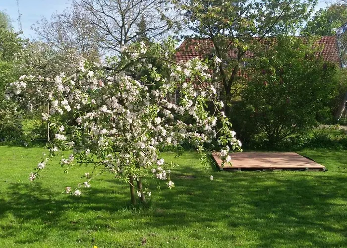Lejlighed Denkmalgeschuetztes Ferienidyll Unter Reet Guderhandviertel