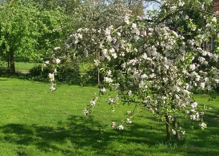Denkmalgeschuetztes Ferienidyll Unter Reet Lejlighed *