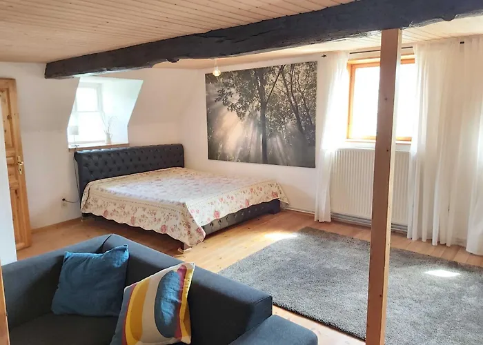 Lejlighed Denkmalgeschuetztes Ferienidyll Unter Reet Guderhandviertel